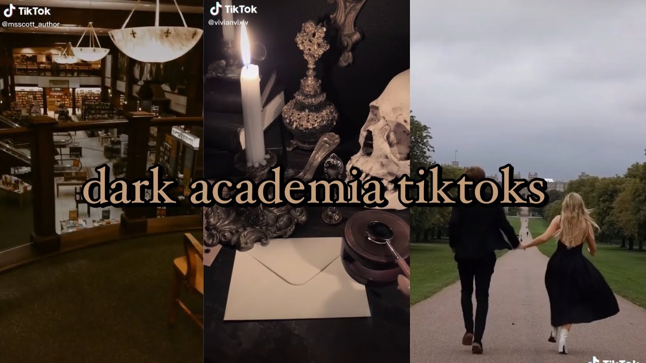 dark academia aesthetic tiktoks☕️🎻