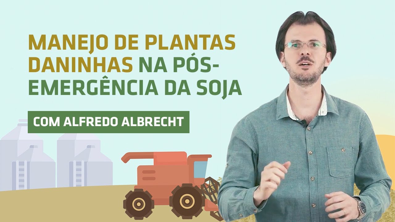 Controle de plantas daninhas em pós emergência e fitointoxicação