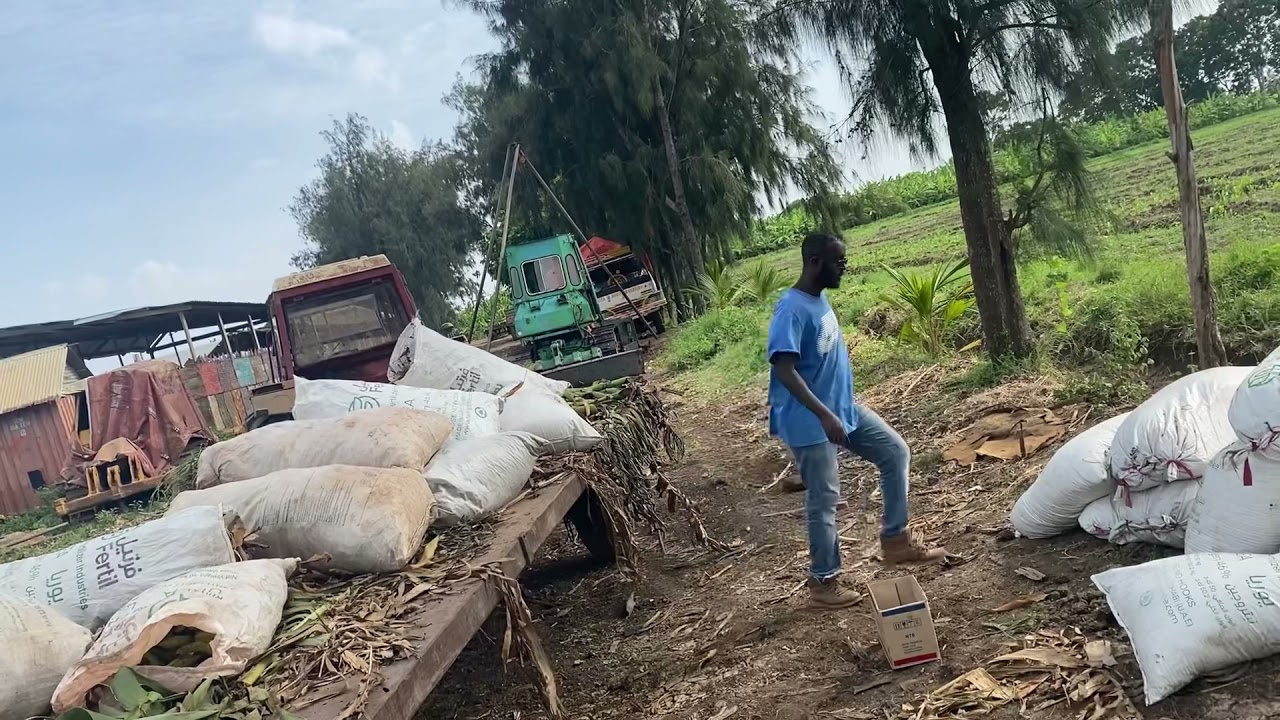 Sameenta daawada bacriminta beeraha adigo is ticmaalayo wax yaabaha beertada yaala - Manure compost