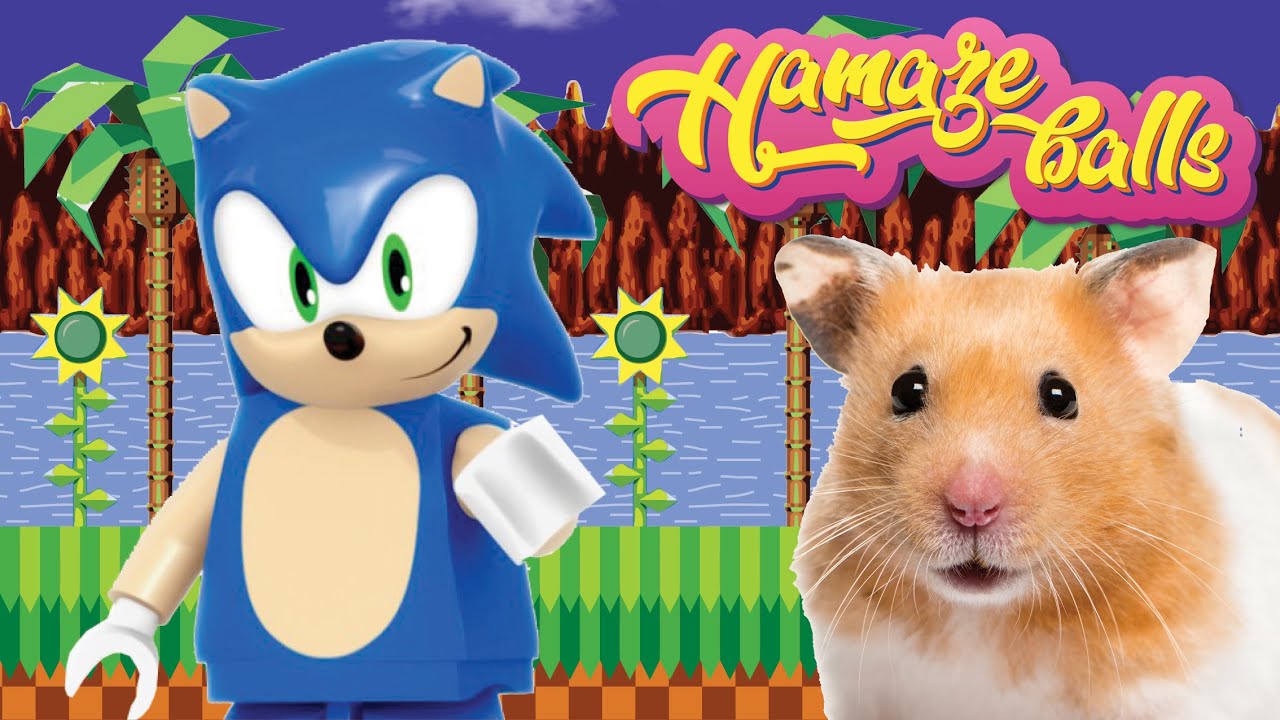 HOW TO MAKE HAMSTER SONIC MAZE