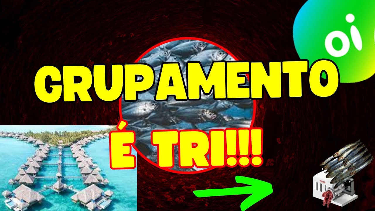 OIBR3 GRUPAMENTO DE AÇÕES OI 2024! QUANTOS GRUPAMENTOS A OI FEZ?