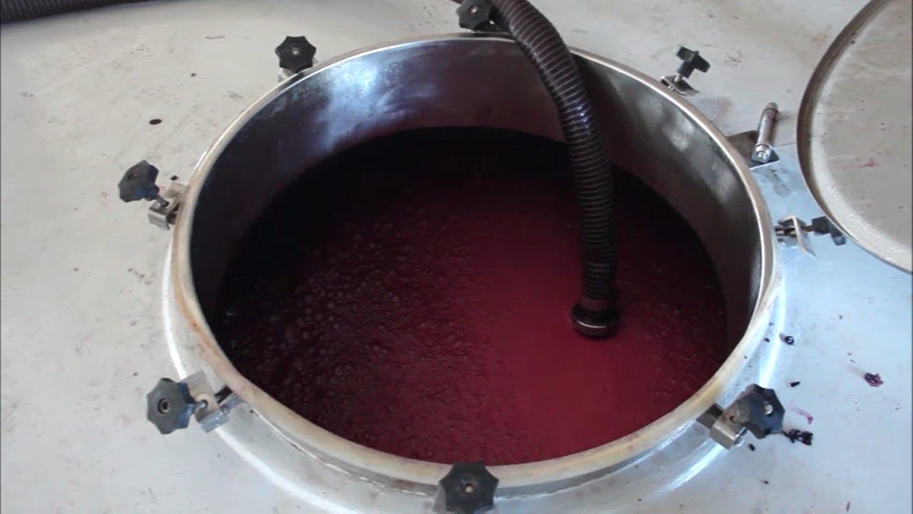Acerca de la fermentación del vino