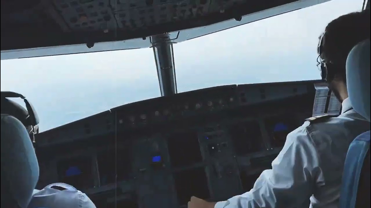 Pilot Wagner Fernandes' Perfect Landing ✈️ #LoveAviation❤