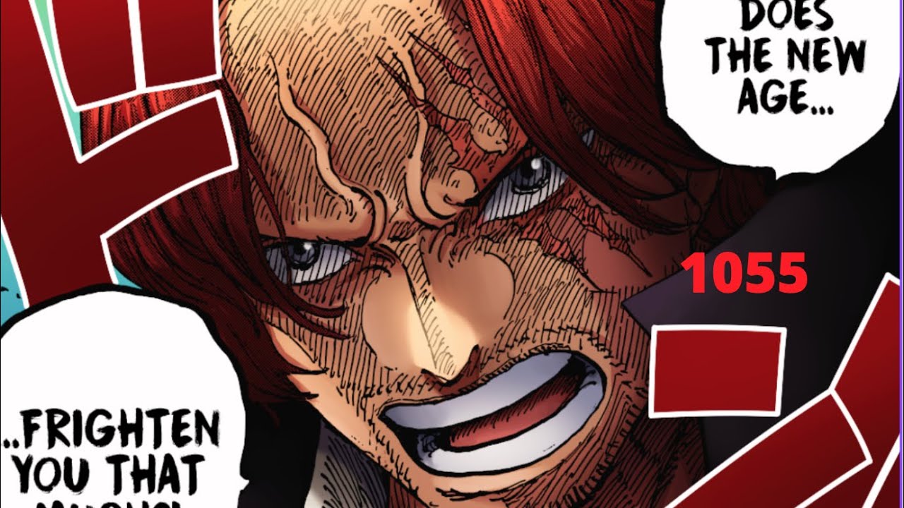 One Piece chapter 1055 The Hype Continues!!!