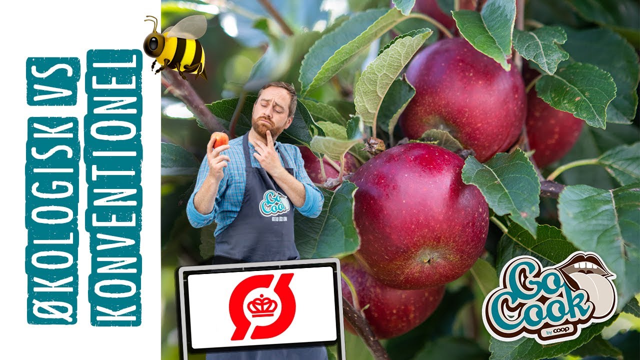 #14 Forskellen på økologiske og konventionelle æbler | GoCook by Coop