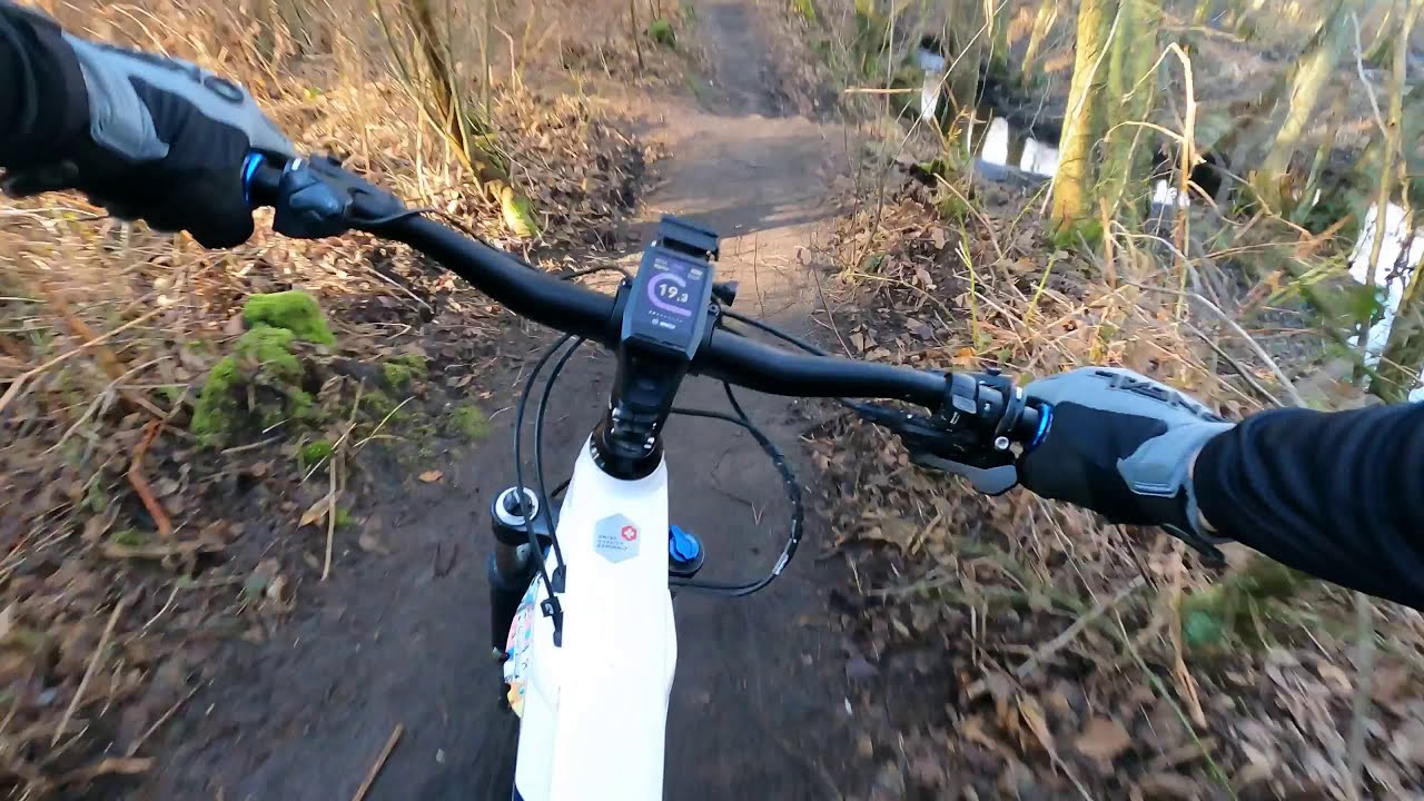 MTB Birgeler Urwald