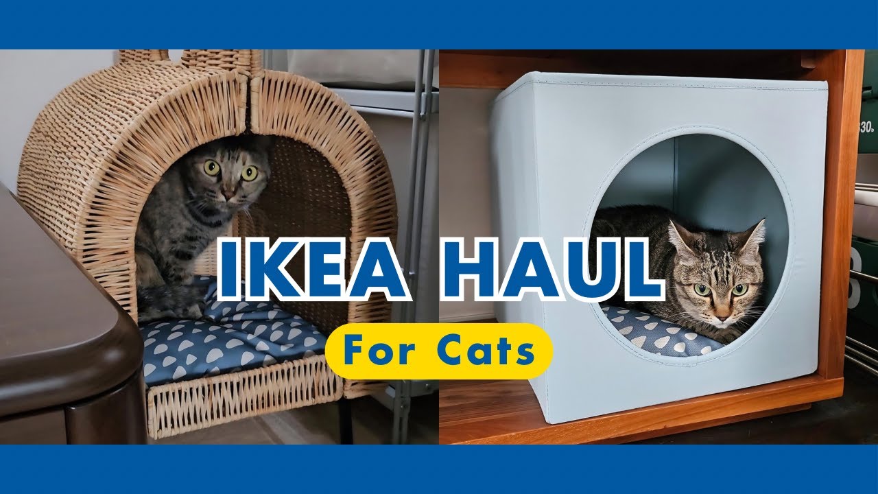 Я купила в IKEA домик для кошки, который вписался в наш интерьер!
