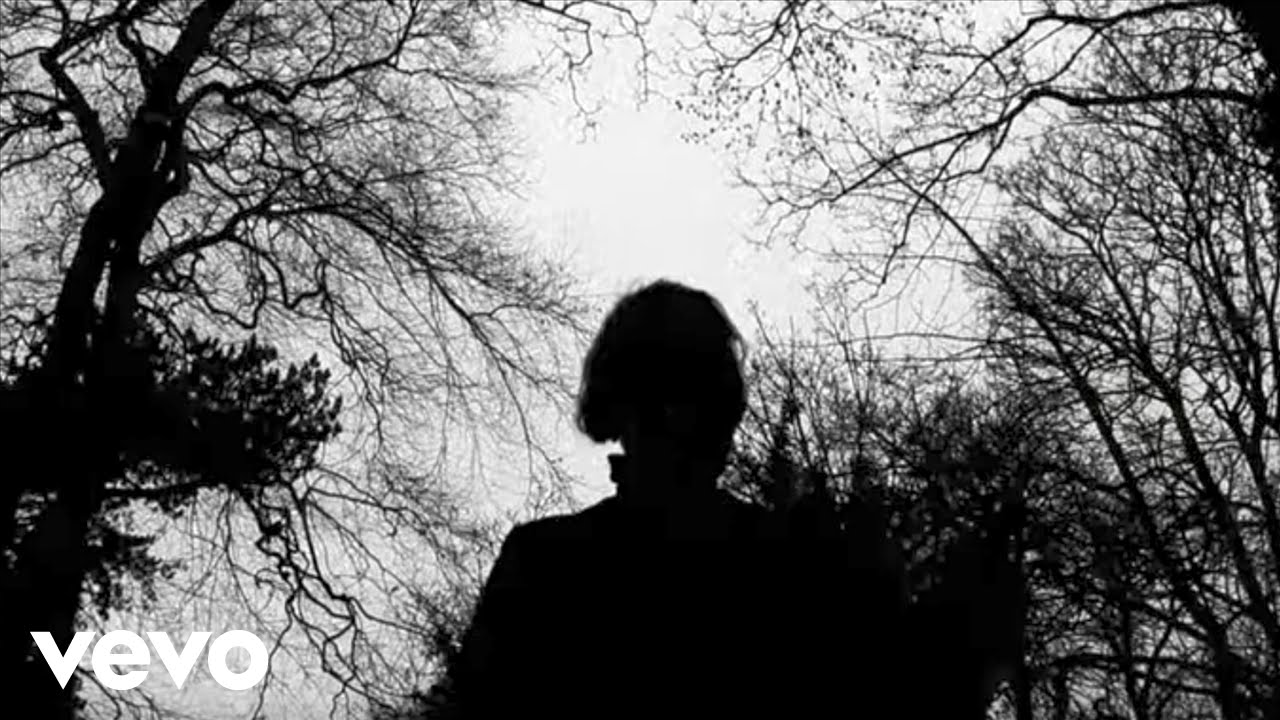 The Wicked Whispers - Ripples Through Time
