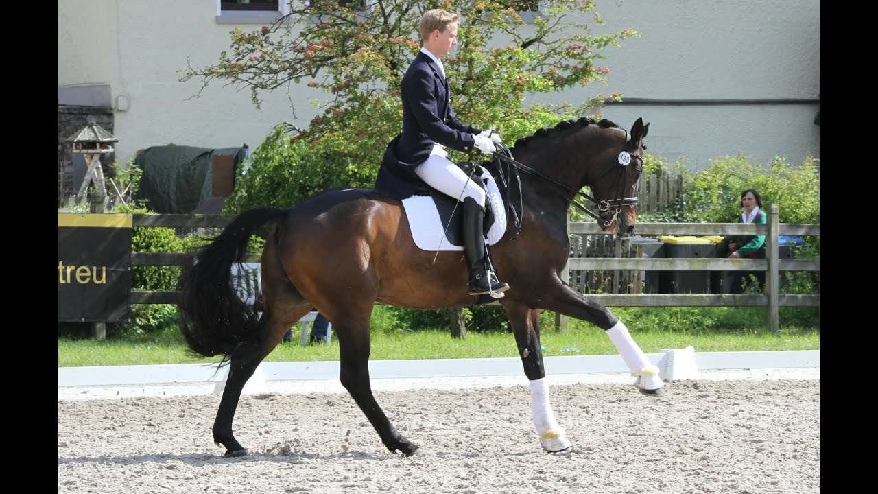 FMA Balve