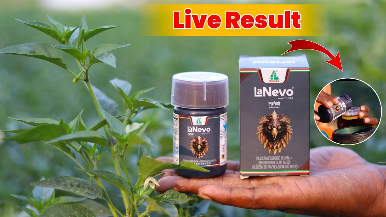 Lanevo Insecticide Live Result ! देख कर चौक गया 😲