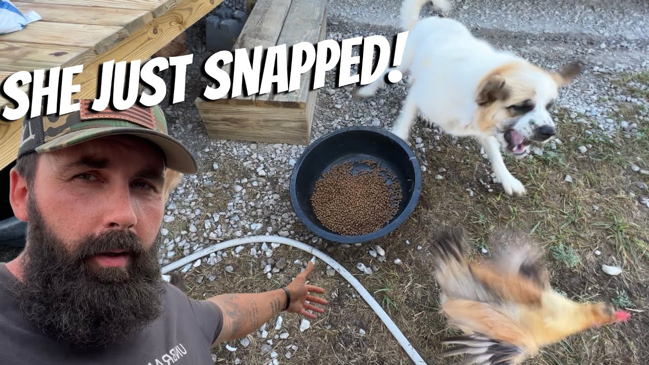 Smokey Is Gone...