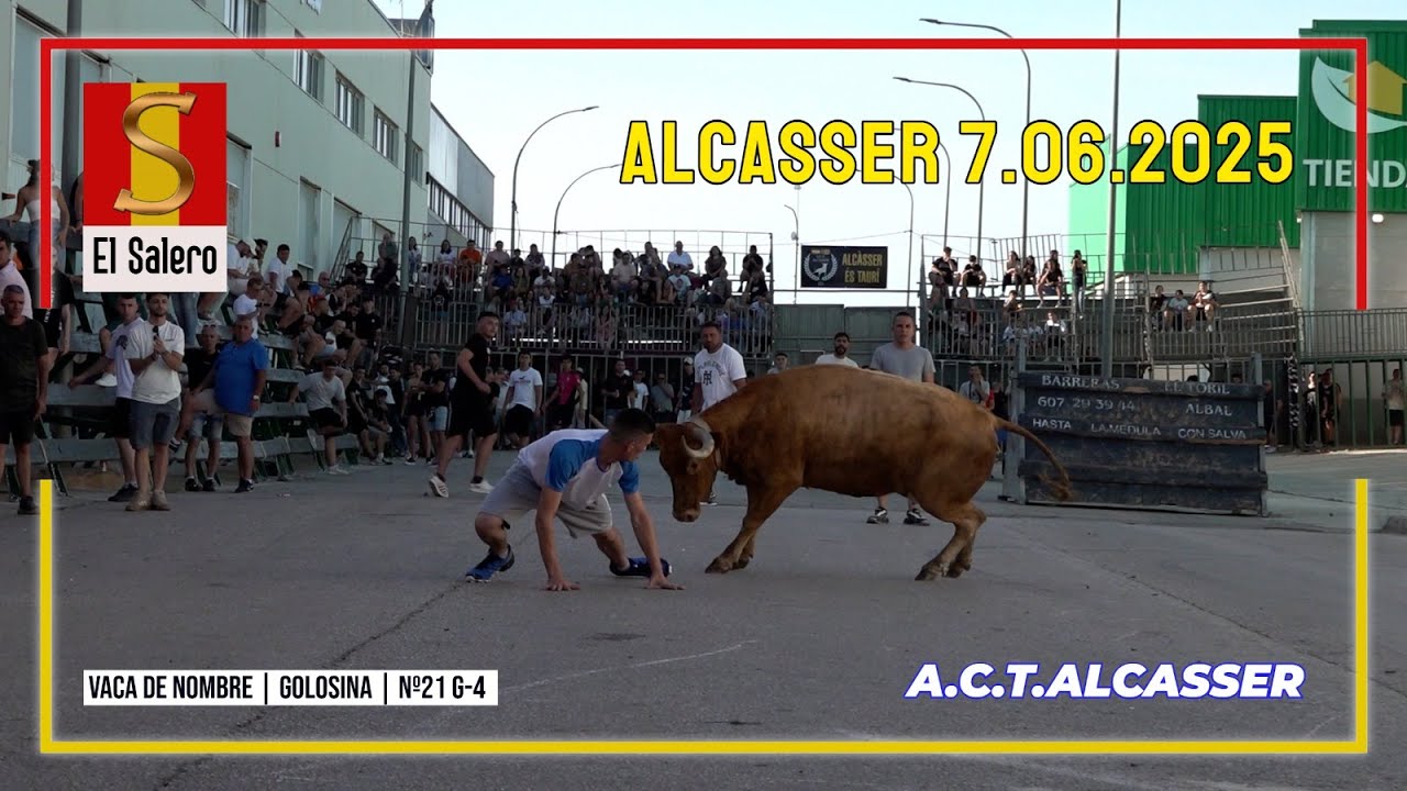 Alcàsser 7▫️06▫️2025 🔴 Ganadería el Salero 🟡 A.C.T.ALCASSER
