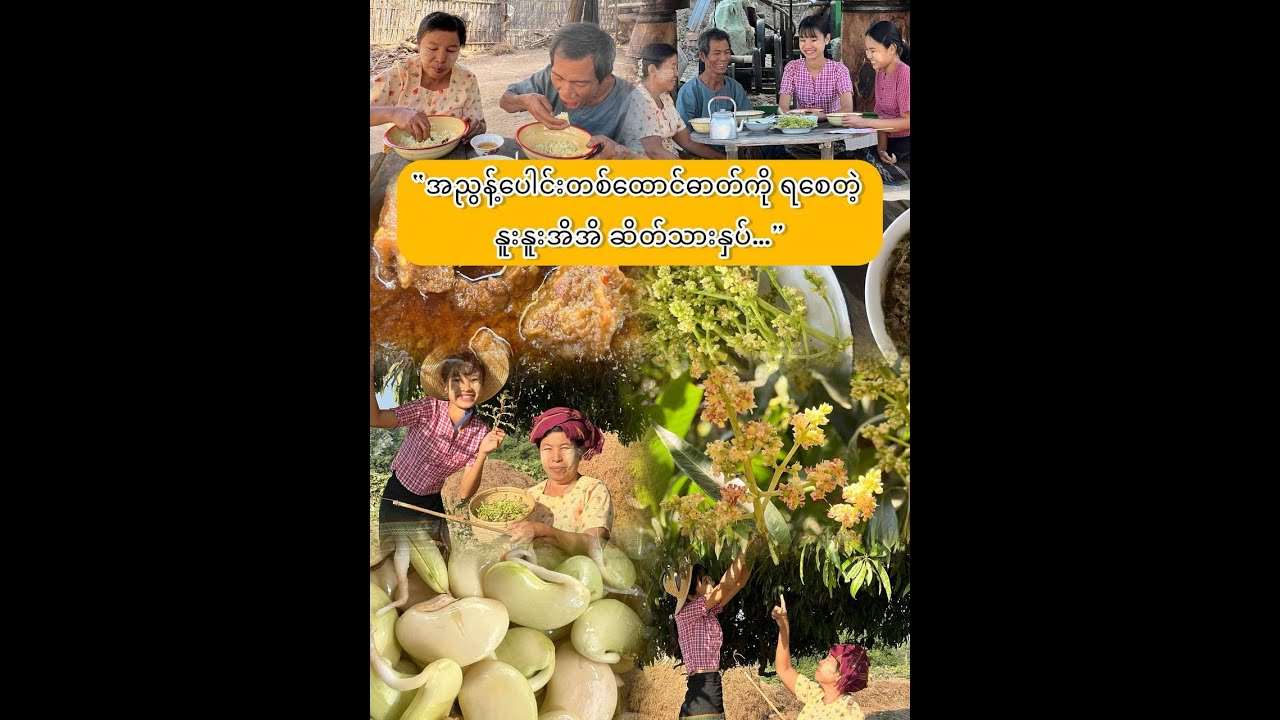 “ရာသီစာ သရက်ဖူးတို့စရာနဲ့ ဆိတ်သားနှပ်….”
