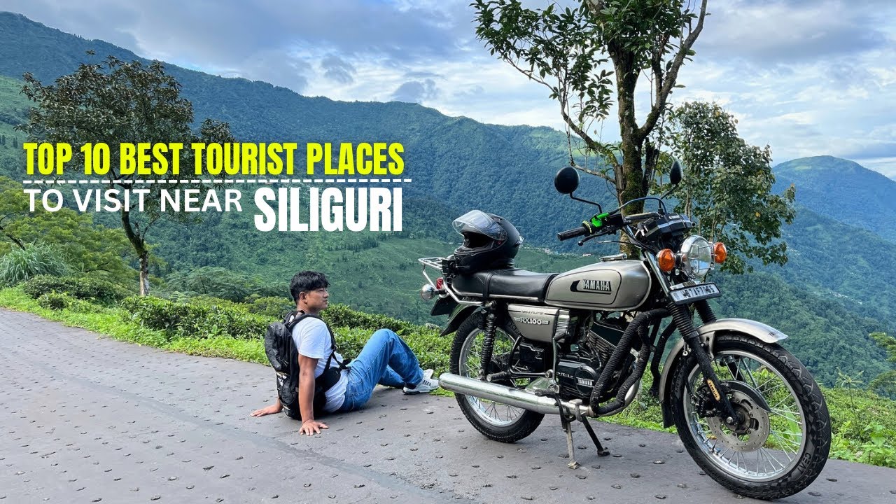 Best Tourist Places Near Siliguri | Places To Visit Near Siliguri | Siliguri To Ghoomtee Tea Garden