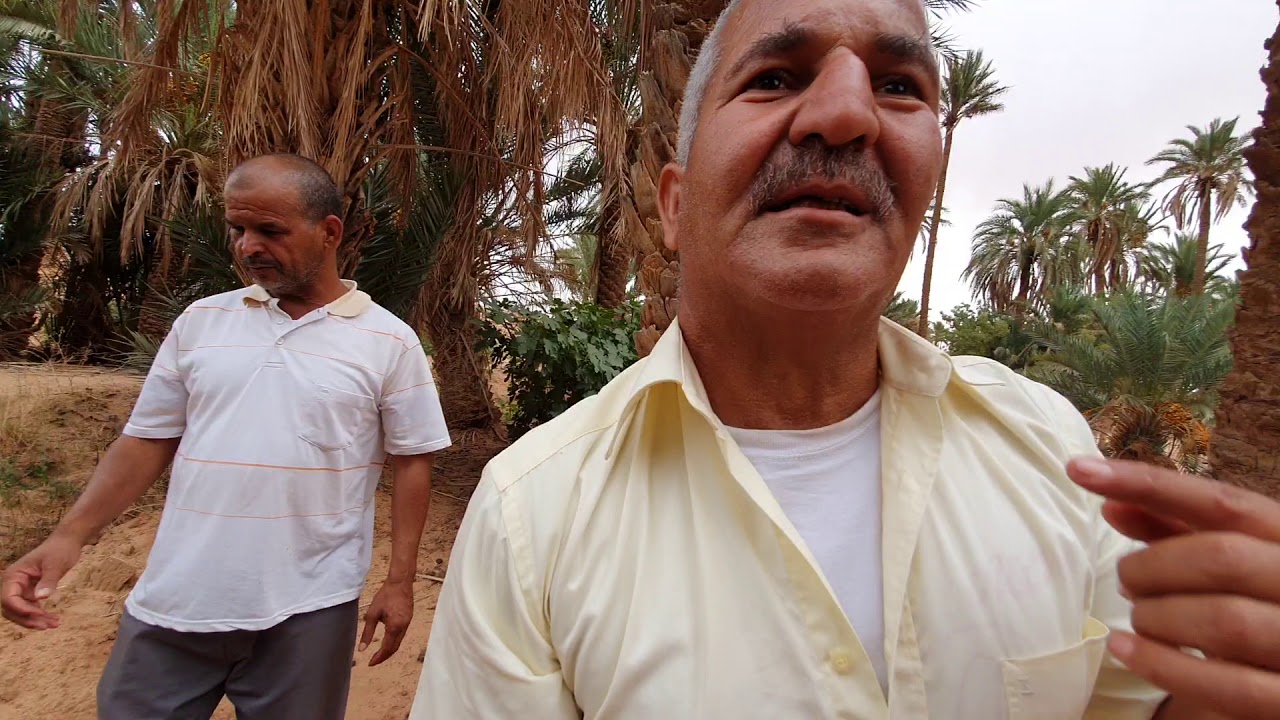 Visite de l'oasis de Moghrar el Tahtani (Ain Sefra, Naama)#2