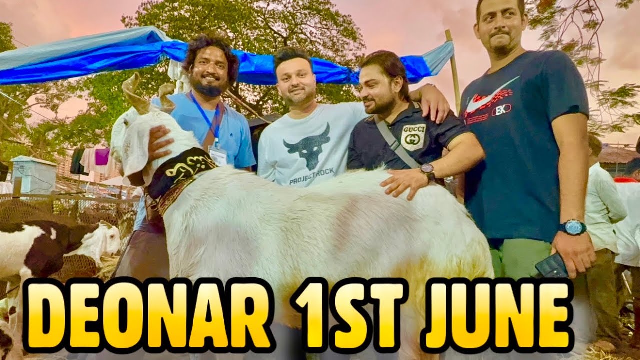 Deonar Bakra Mandi Sunday June 1, 2025 With Goat Tycoon Hysham Bhai