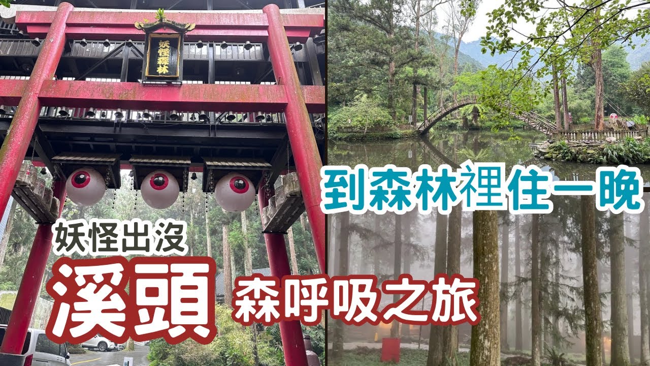 溪頭還是避暑勝地？大崙山看雲霧繚繞銀杏林｜經典妖怪村👹｜到夢幻森林🌳裡住一晚｜最美森林國小#南投#taiwantravel #溪頭#taiwan