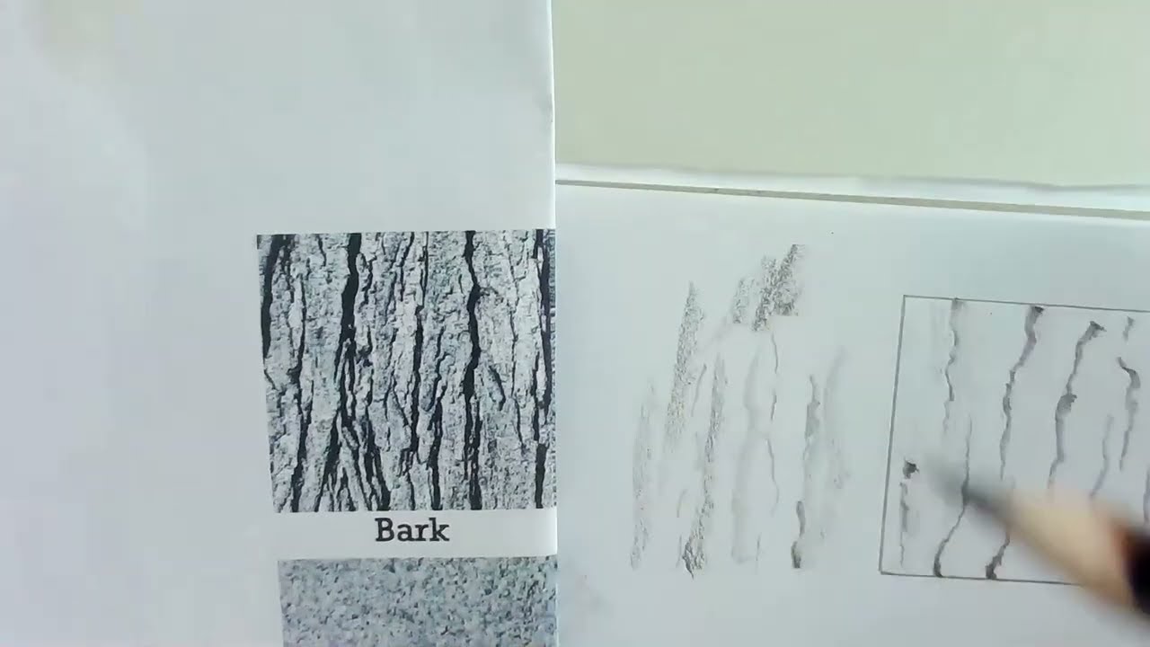 Week 1 - Tools of the Trade: Pencil Scales and Impression Techniques