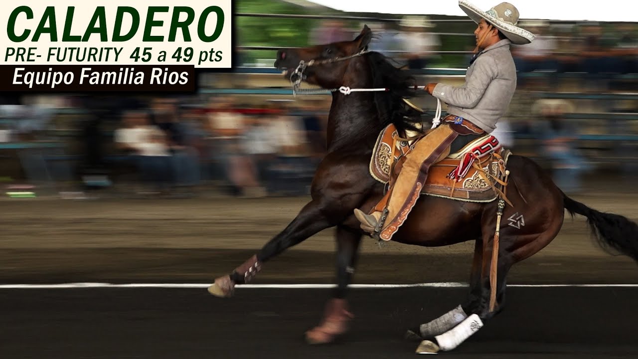 Pre Futurity - Equipo Familia Rios - prospectos de 45 a 49 pts - parte 2