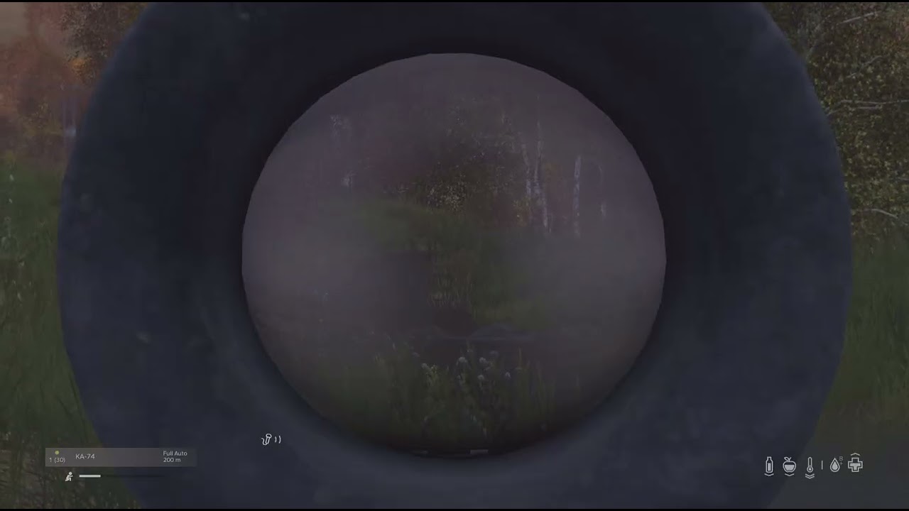 DayZ didnt see the 3rd one