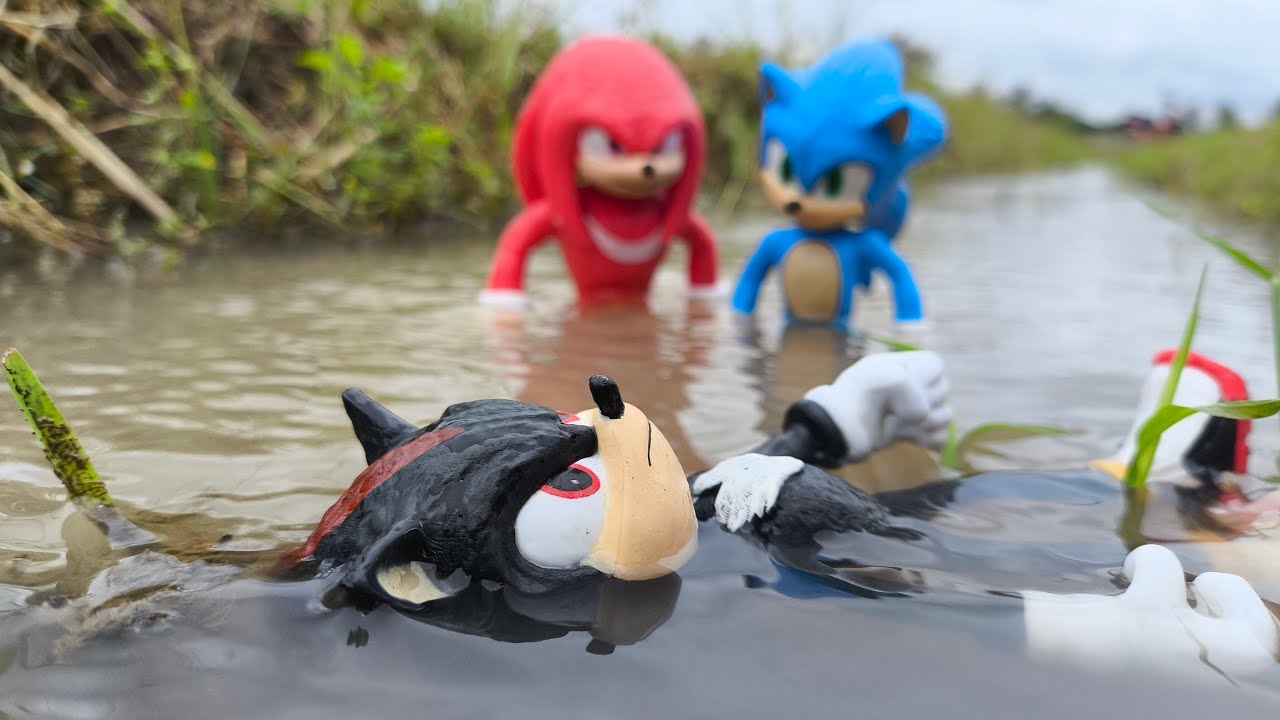 Sonic Hedgehog, Sonic Shadow, Knuckles, Tails, Metal Sonic, Super Sonic, Metal Sonic, Super Shadow