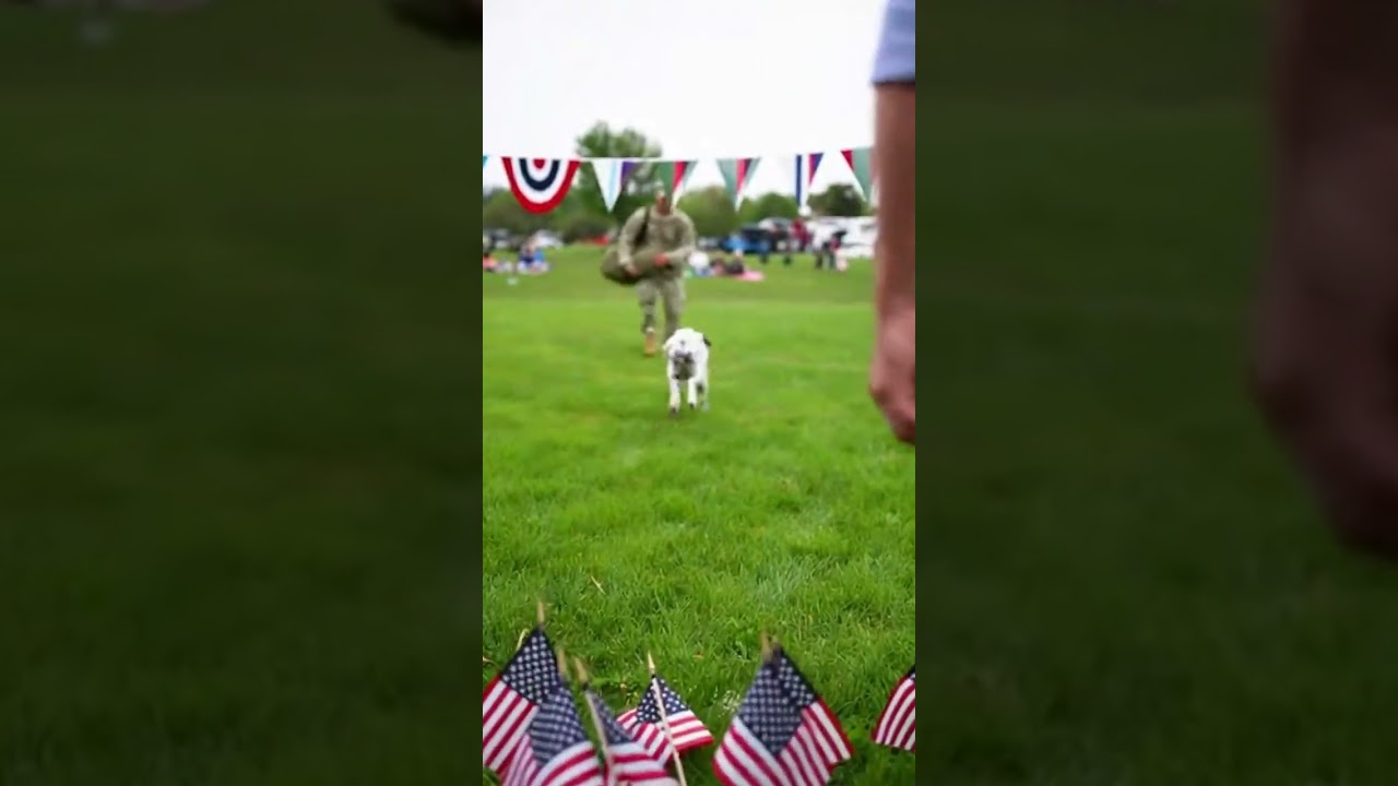 🥰 Spotty Dog Spots Soldier Dad at 4th of July Heartwarming Reunion