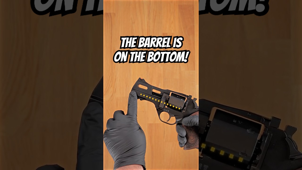 Носорог из Чиаппы &mdash; это НЕ обычный носорог!