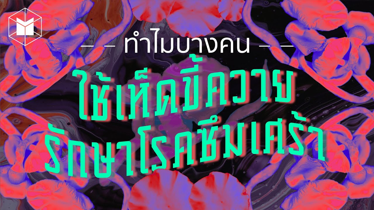 ทำไมบางคนใช้ 'เห็ดวิเศษ' รักษาโรคซึมเศร้า ? | The MATTER