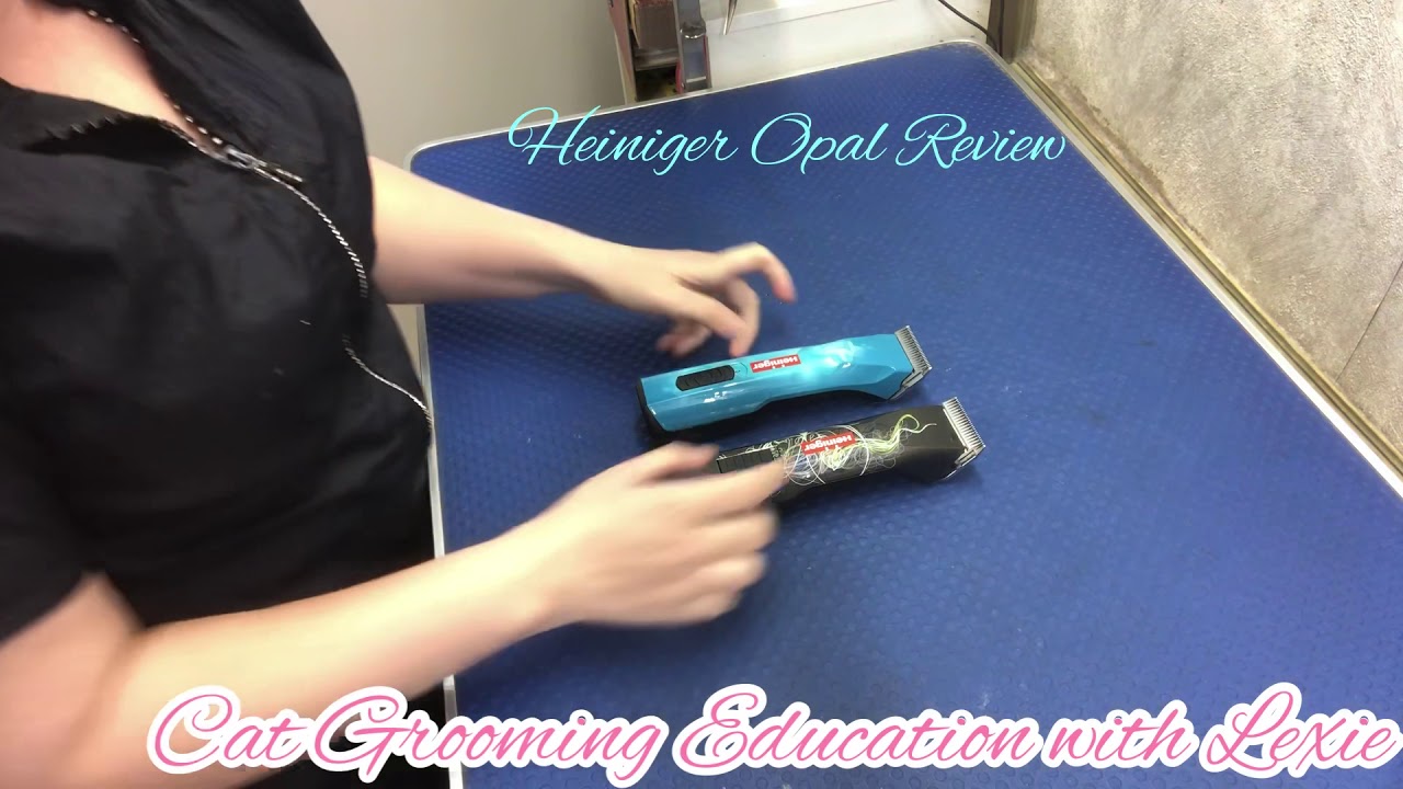 Heiniger Opal Review by Professional Cat and Dog Groomer, Lexie