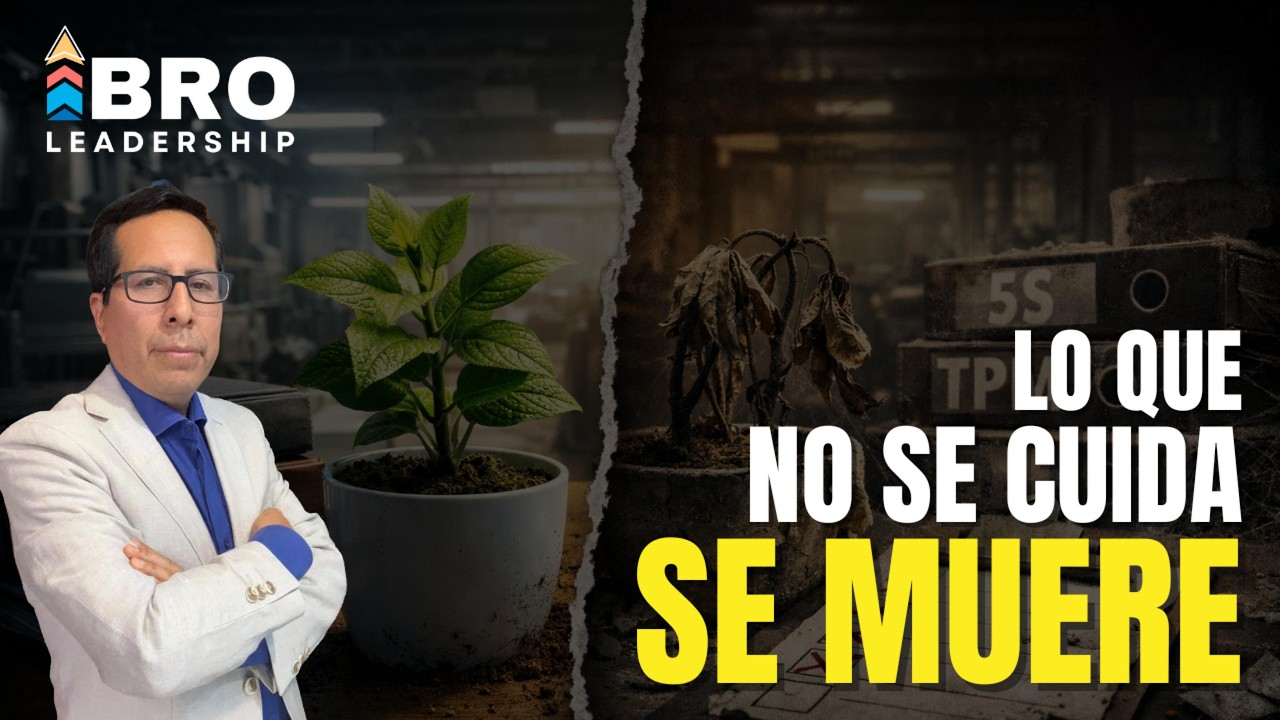 Lo que dejas de mirar… empieza a morir