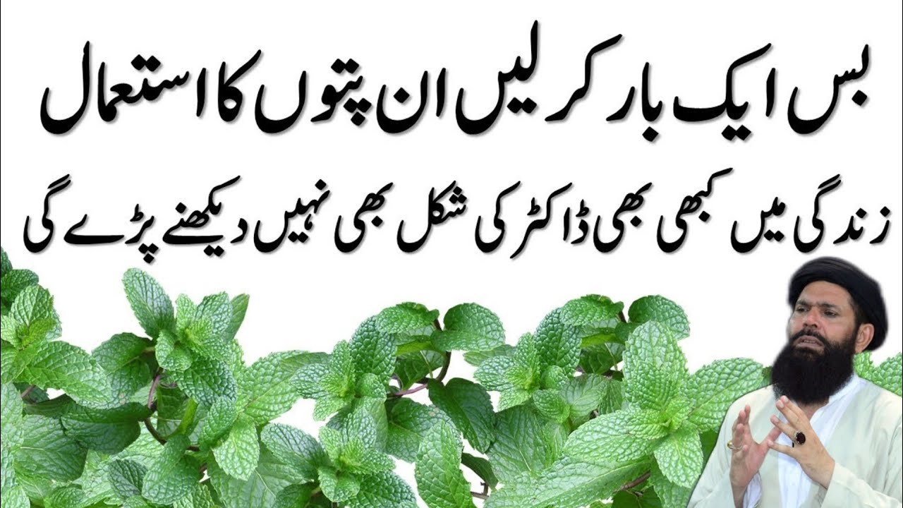Mint Leaves Benefits || Mint Leaves Uses and Mint Leaves Recipes | Ubqari| Tasbeeh Khana 