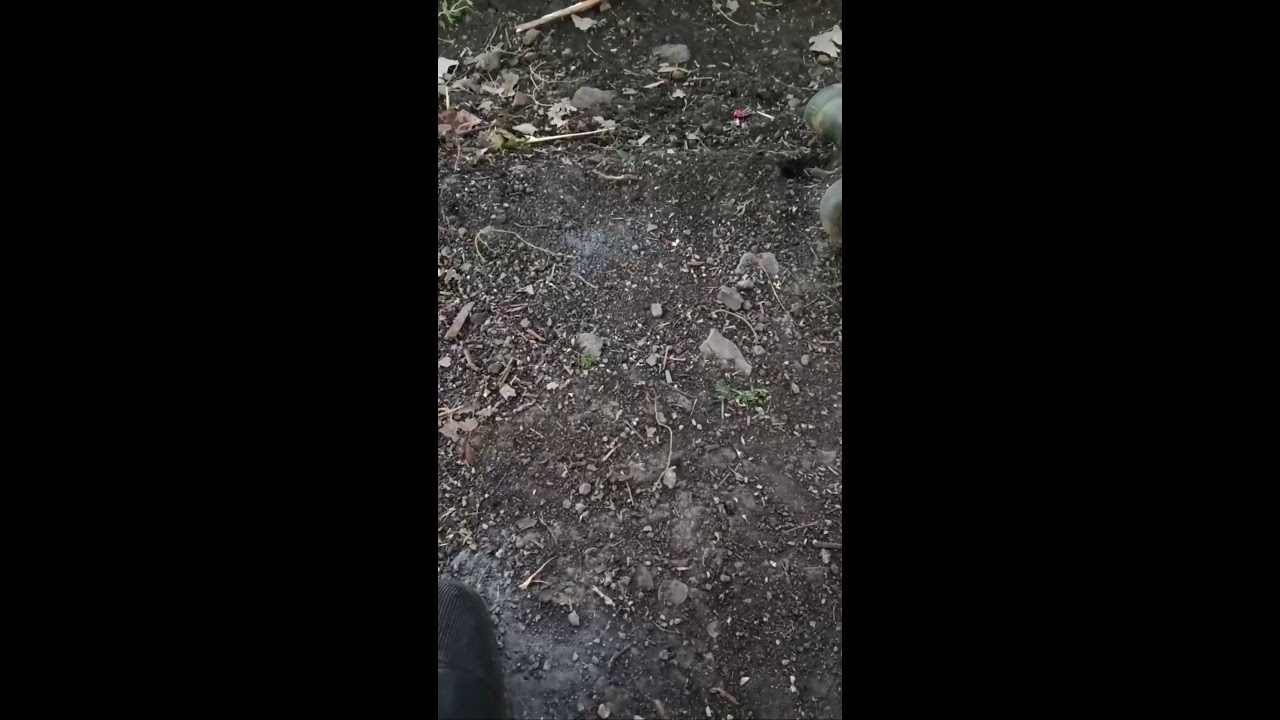 Lakhan Verma लाइव है!