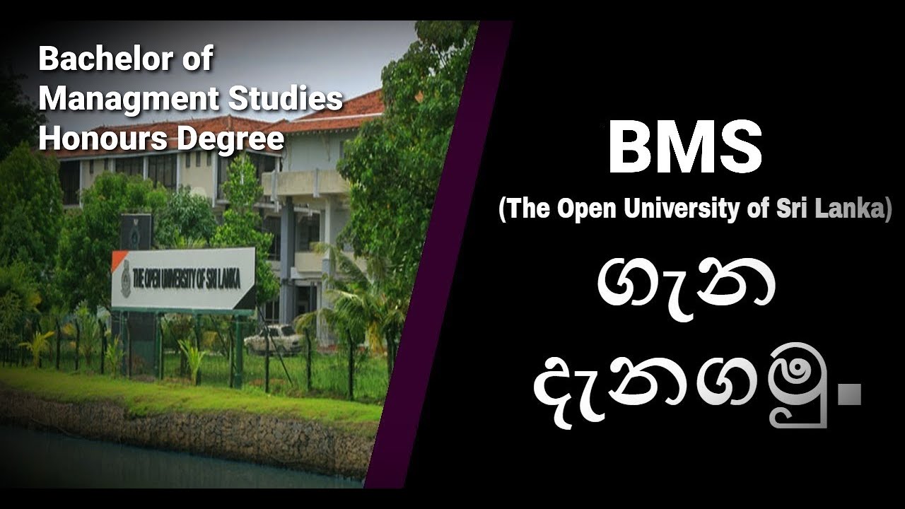 Honours Management Degree in Open University (BMS)