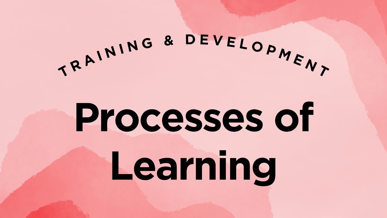 Processes of Learning - Training & Development Lecture 4.2