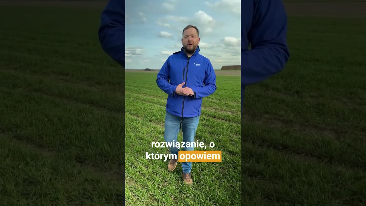 Jak ograniczyć chwasty w zbożach wiosną❓ 