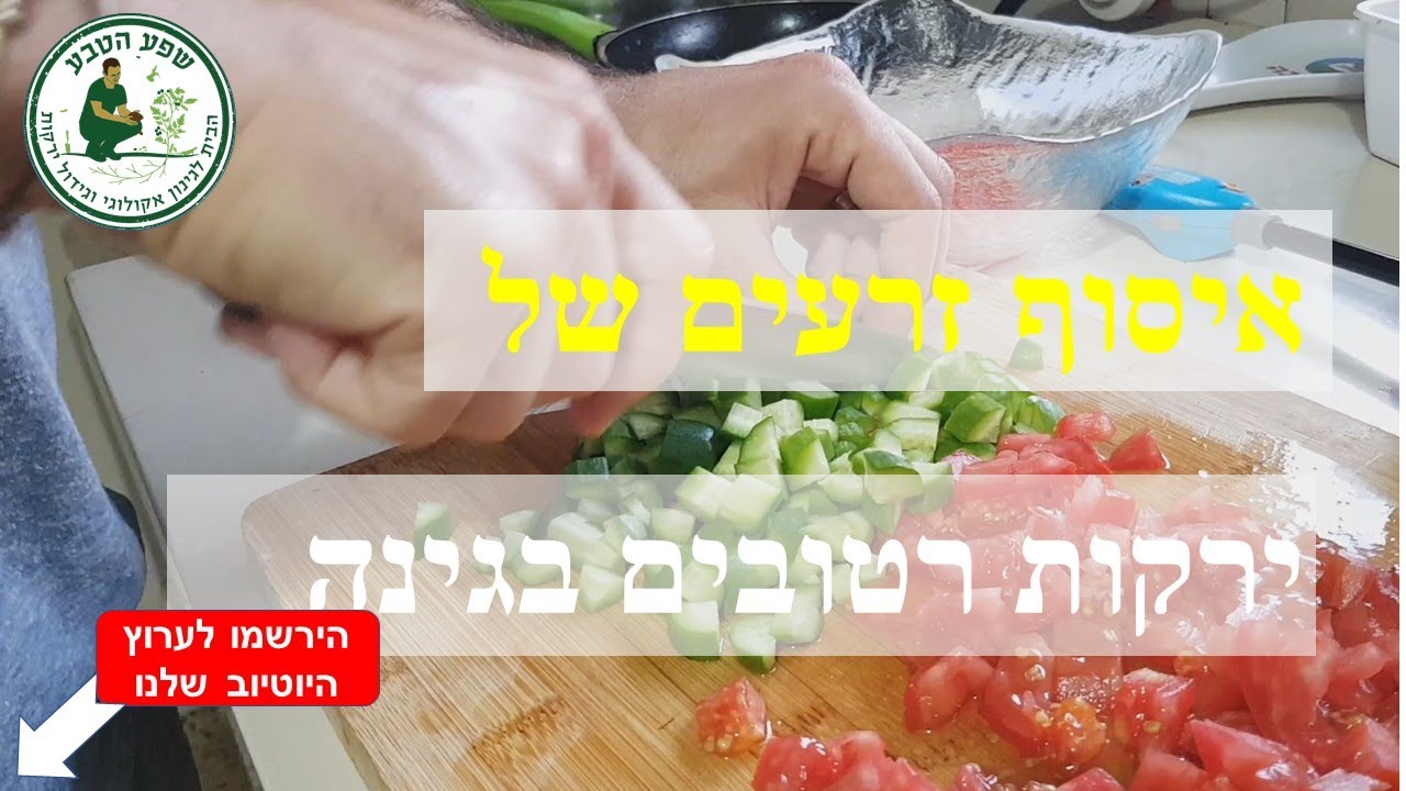 איסוף זרעים של ירקות רטובים: זרעי עגבנייה, מלון ודלעת