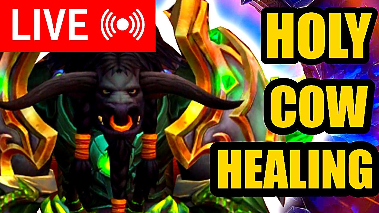 🔴Holy Paladin PvP first time healing against all ODDS  ! Midnight Season 1