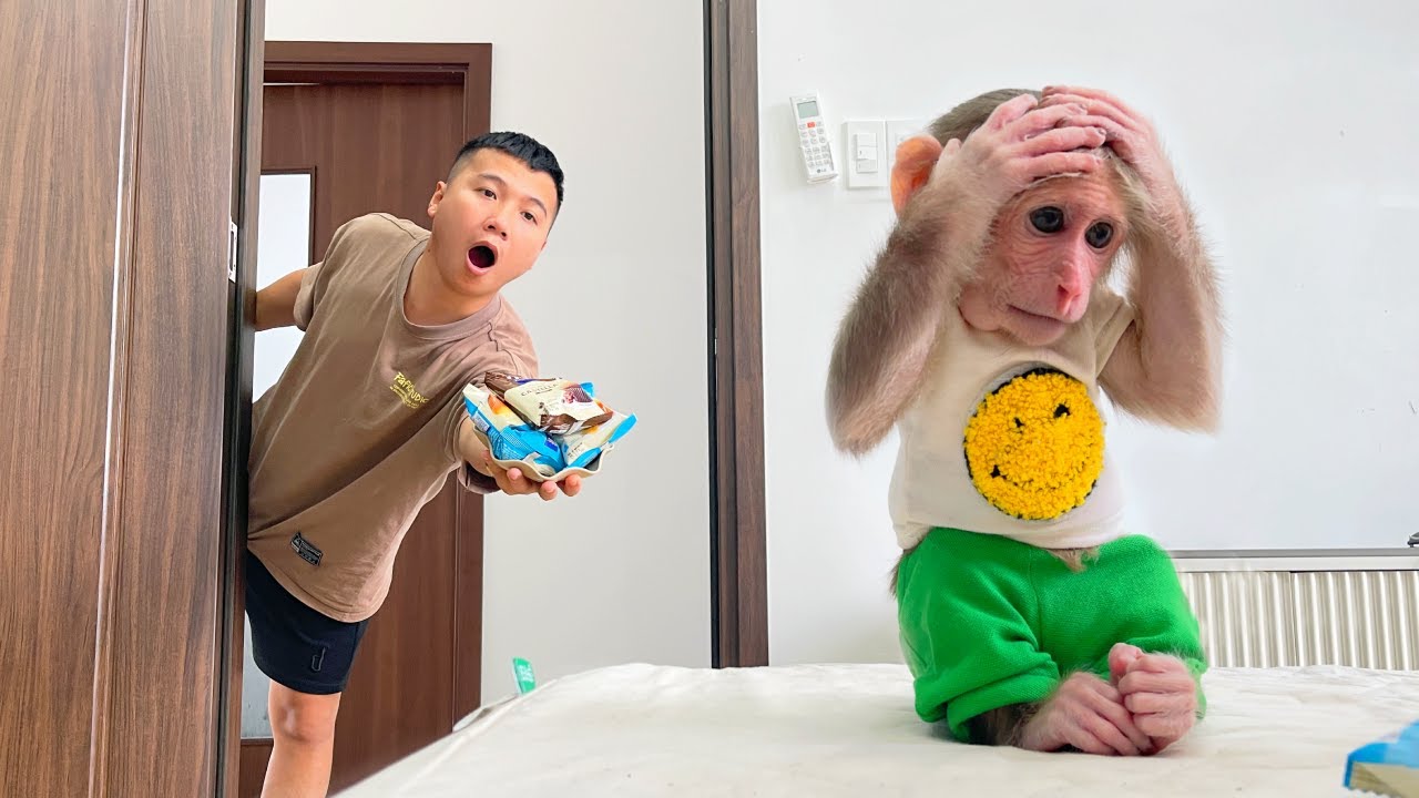 Try Not to Laugh! 🤣 Monkey Cubis Gets Angry at Dad for the Funniest Reason!