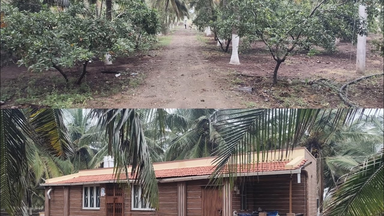 மொத்தம் 7 ஏக்கர் தென்னந்தோப்பு+தனிக் கிணறு+தனிசர்வீஸ்+கேரளாமாடல்வீடு உடன் #farm#land#trending#viral 