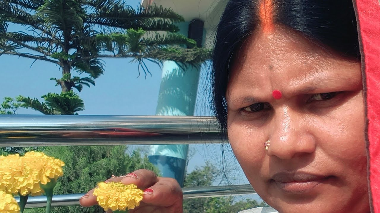सीमा ऑफिसर की लाइफ में आप लोग की स्वागत है 🙏🙏🙏🌺