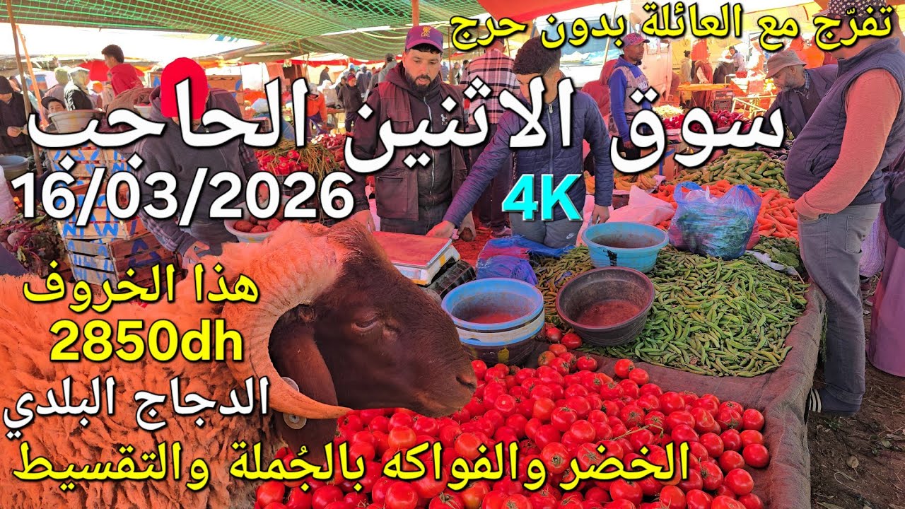 أثمنة الغنم والدجاج والخضر والحبوب سوق الاثنين الحاجب اليوم 16/03/2026
