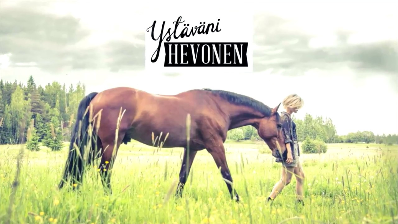 Miten hevoselle laitetaan suojat?