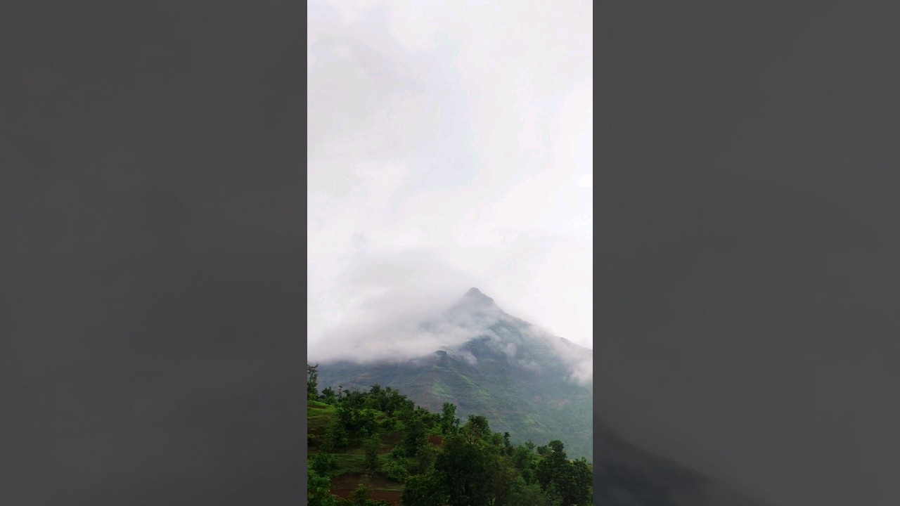 the dang🏞️😍#dangforest#ahwadang #naturelovers #viral #shortvideo