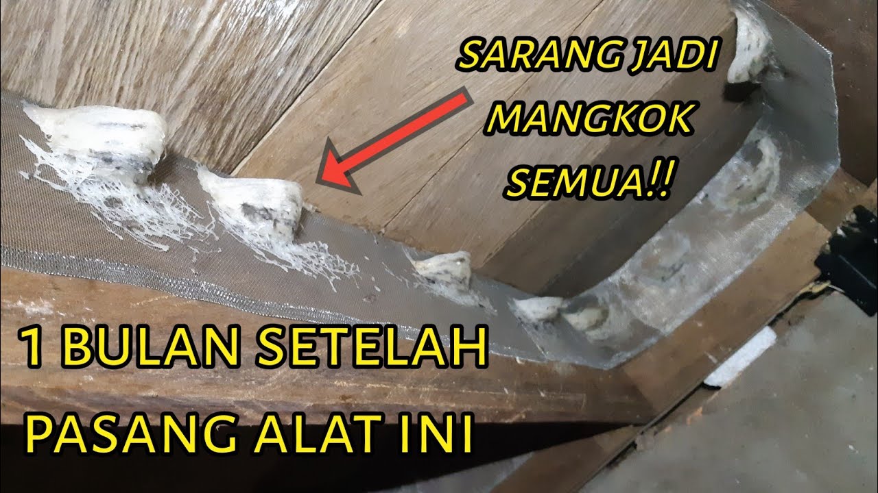 LUAR BIASA❗❗ dengan alat ini bisa mengubah sarang sudut jadi MANGKOK!!
