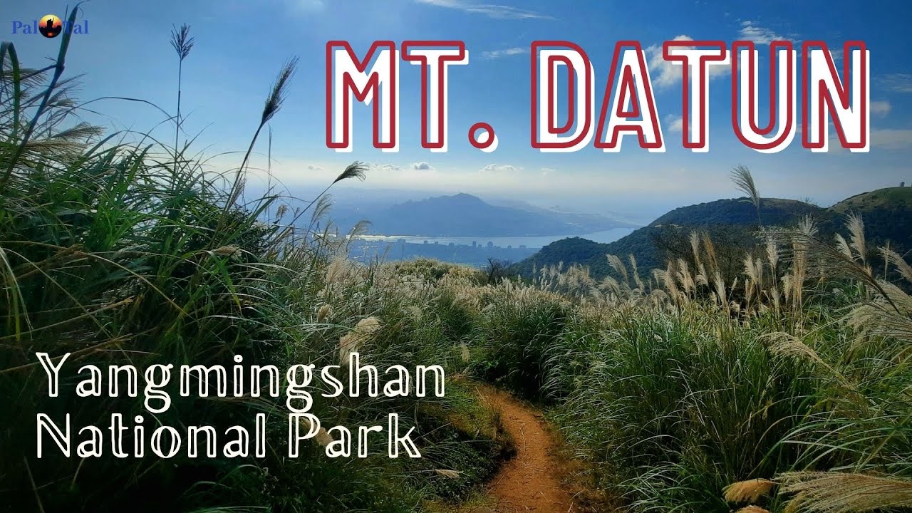 Mt. Datun - Yangmingshan National Park - Running Trails in Taiwan - PAL TAL