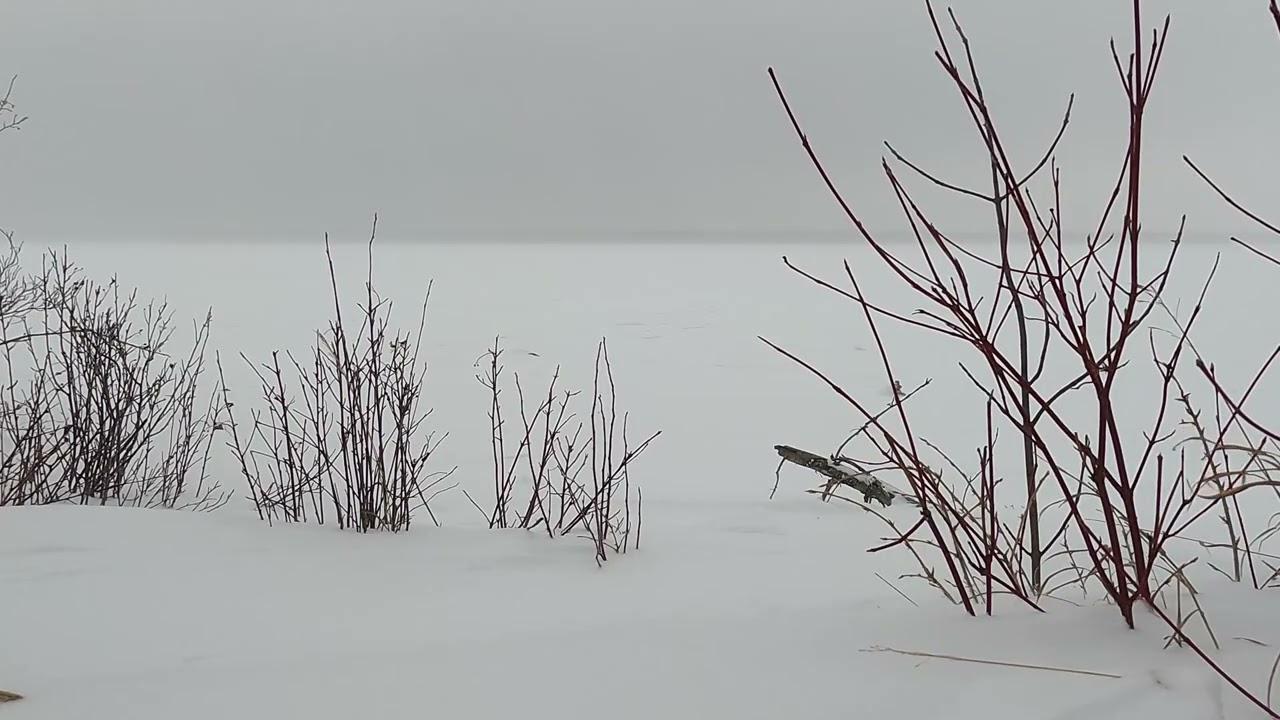 A Cold Wind Blows Across the Lake