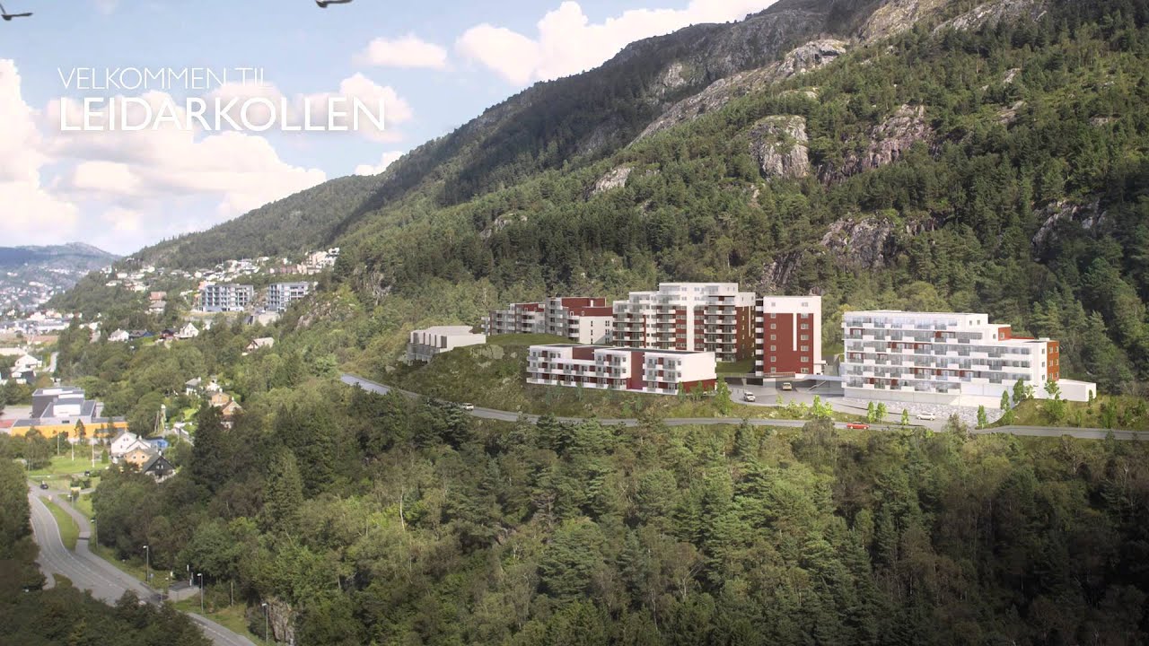 Nye leiligheter i Loddefjord, Leidarkollen