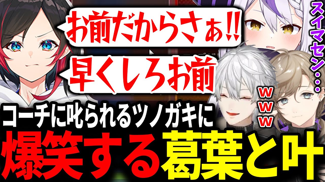 うるかコーチに怒られまくる助っ人のラプラスに爆笑する葛葉と叶【にじさんじ/切り抜き/#v最協/APEX/葛葉/叶/柊ツルギ】