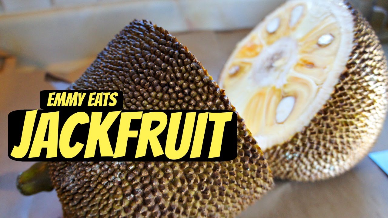 Tasting Jackfruit & How to Open It