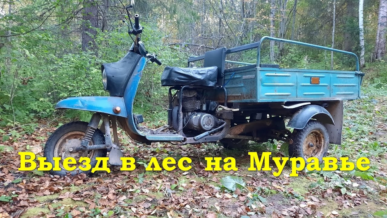 Выезд в лес на мотороллере Муравей
